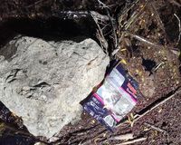 Fundbild der Gruppe Gesamtschule Eifel Experimente-AG