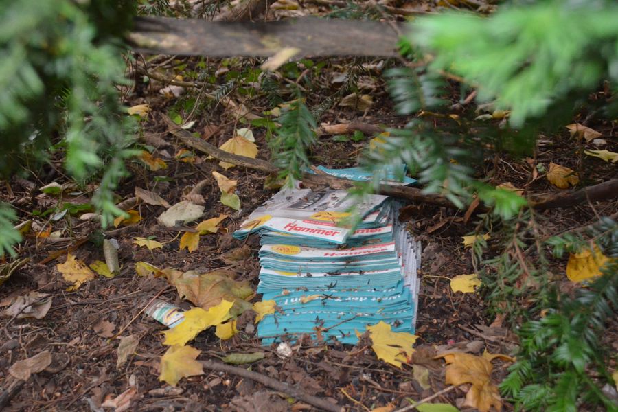 Fundbild der Gruppe Klima- und Umweltschutz-AG des WvS Harzburg