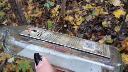 Fundbild der Gruppe Aktive Postseegründler