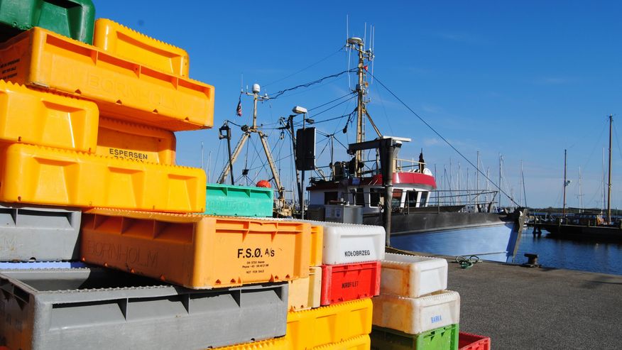 Foto vom Hafen Maasholm, wo der Fischfang kontrolliert wird