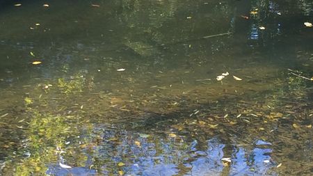 Fundbild der Gruppe Der Reinigungstrupp