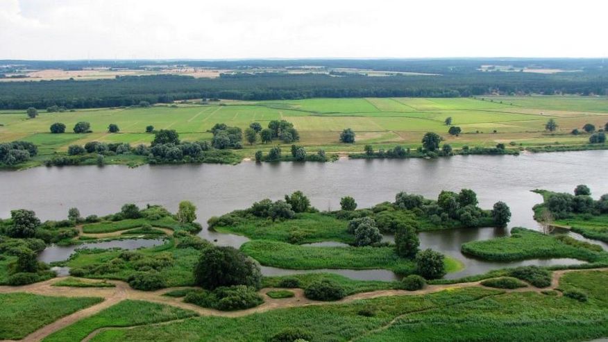 Foto der Elbe in Niedersachsen