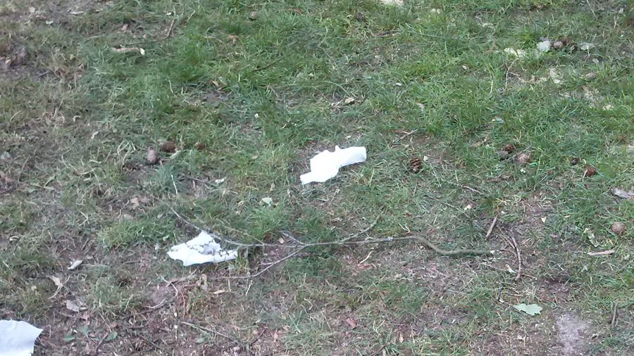 Fundbild der Gruppe Bodelschwingh NaWi