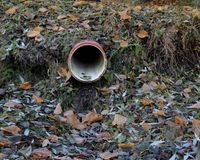 Fundbild der Gruppe Preetzer Putzkolonne