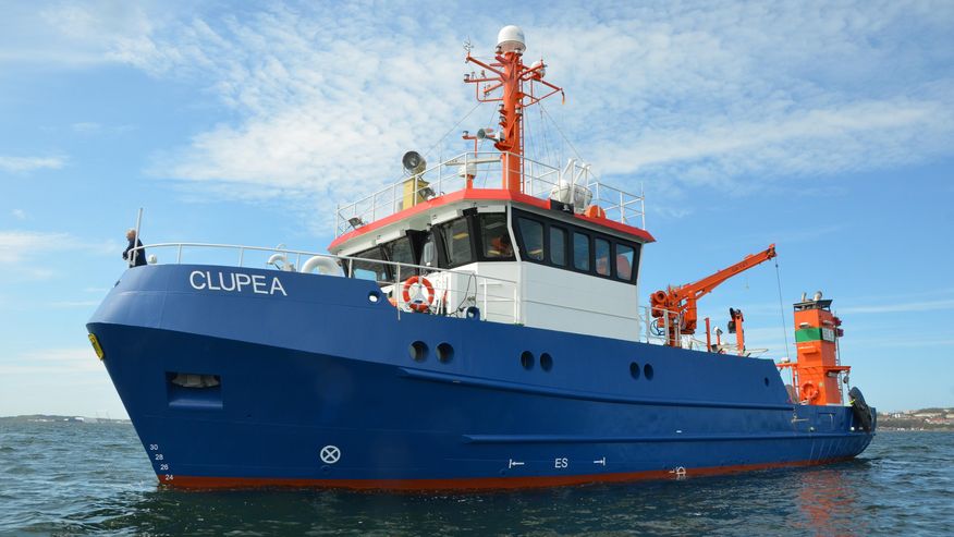 Foto des Forschungsschiffs Clupea