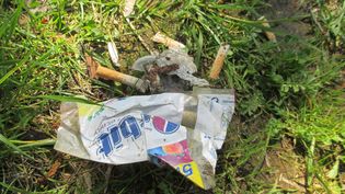 Fundbild der Gruppe Junge Forscher Realschule Poing