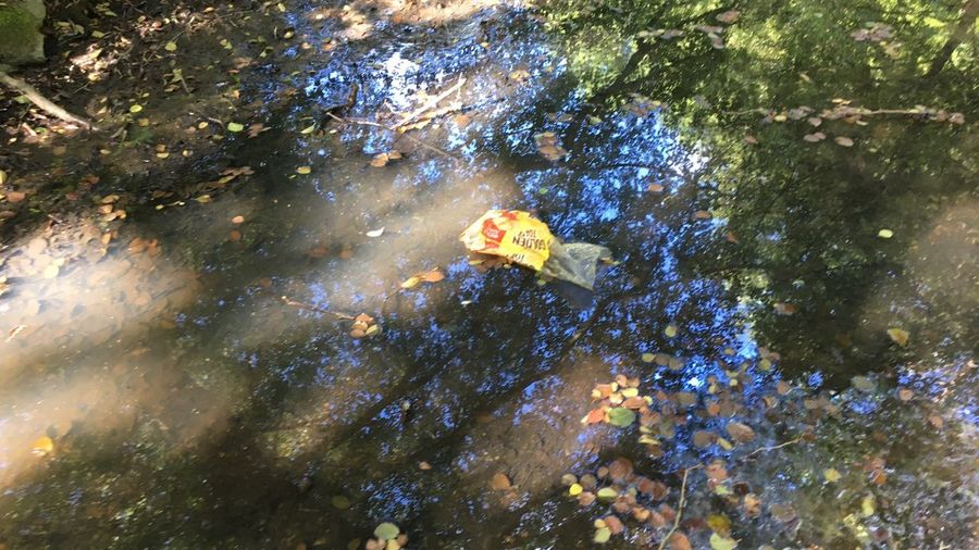 Fundbild der Gruppe BNS-Die Siebten