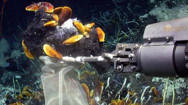 Foto des Tauchroboters MARUM-Quest, der in den Tiefen der Meere Muscheln und ölreiche Asphalte sammelt