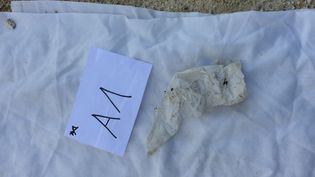 Fundbild der Gruppe Donauforscher