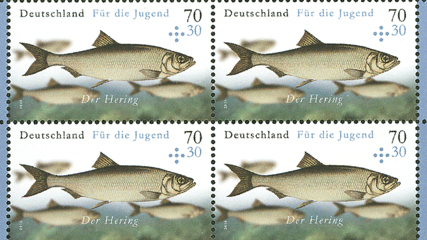 Sonderbriefmarke für die Jugend 2016, Hering