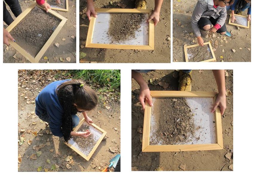 Fundbild der Gruppe Ernst Reuter Plastikdetektive