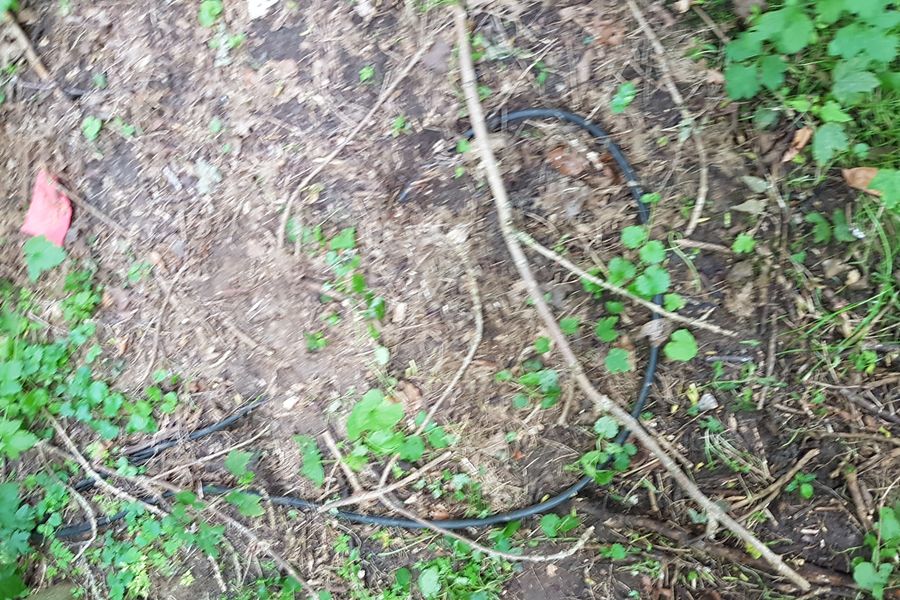 Fundbild der Gruppe Wasserrettungstruppe 