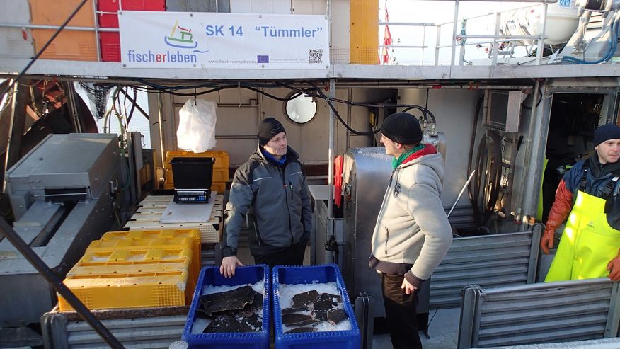 Regionale Fischereiforschung an der Uni Kiel