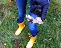 Fundbild der Gruppe Plastic busters