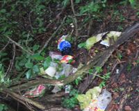 Fundbild der Gruppe Klasse 5a der Lernwerft - Club of Rome Schule, Kiel