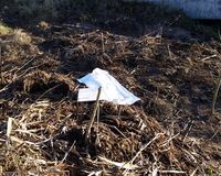 Fundbild der Gruppe Die Octonauten