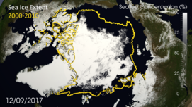 Arktisches Meereis schmilzt weiter ab
