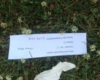 Fundbild der Gruppe 181 Neckarforscher