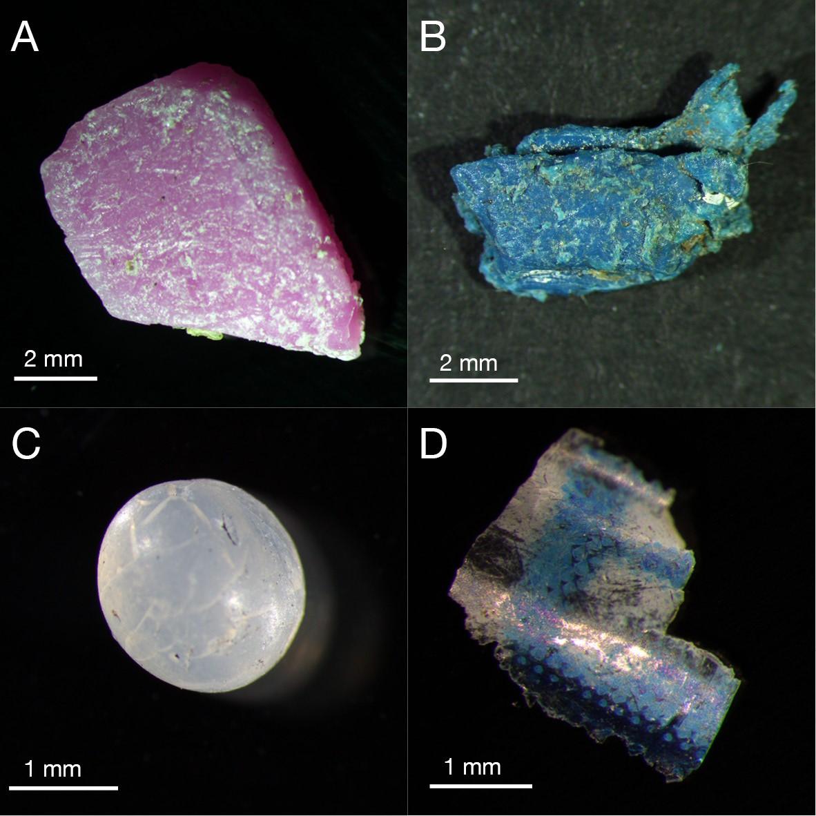 Detaildarstellung von Beispielen für Mikroplastik am Strand der Malediven-Insel Vavvaru