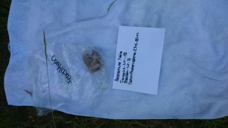 Fundbild der Gruppe Plastic Pirates Naila