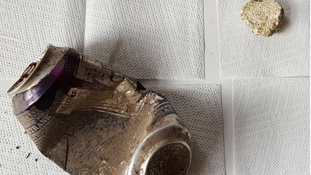 Fundbild der Gruppe Die Plastikologen