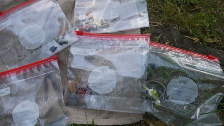 Fundbild der Gruppe Die BVS-9a