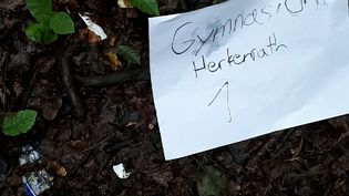 Fundbild der Gruppe Biologie Diff-Kurs Gymnasium Herkenrath