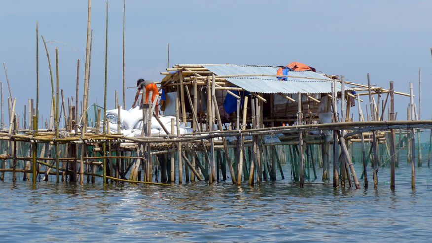 Foto von offenem Aquakultur-Gehe auf den Philipinnen, eine gefährliche Quelle für pathogene Keime und Schadstoffe sind