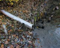 Fundbild der Gruppe Preetzer Putzkolonne