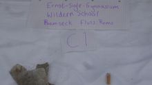 Fundbild der Gruppe Ernst-Sigle-Gymnasium & Wildern School - Rems