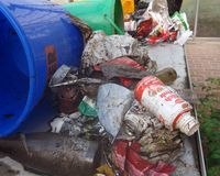 Fundbild der Gruppe VBS Nidda-Forscher