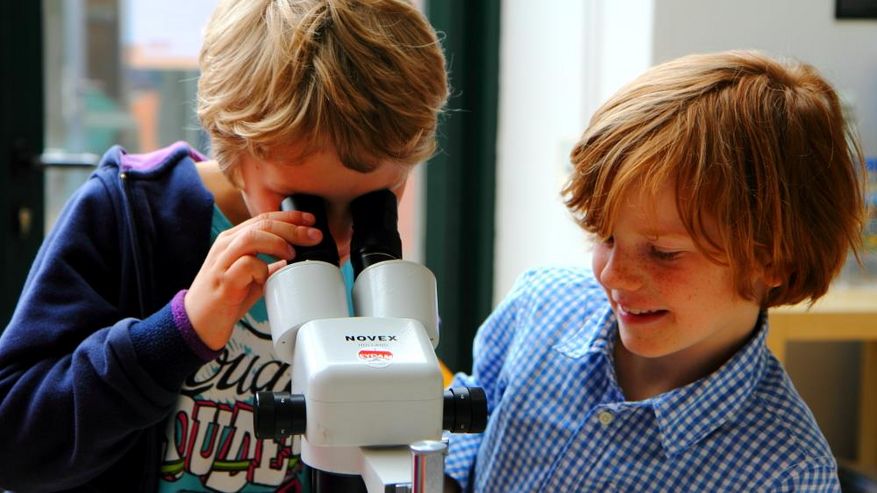 Foto von Kindern, die in ein Mikroskop schauen