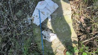 Fundbild der Gruppe Junge Forscher Realschule Poing