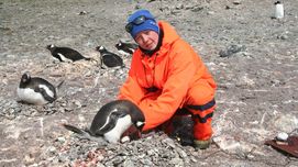 Pinguine zählen per Drohne