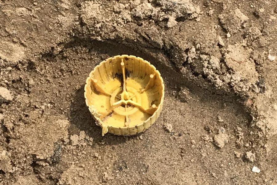 Fundbild der Gruppe Plastiklilien