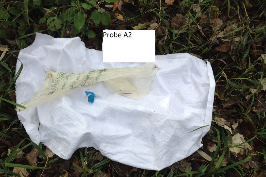 Fundbild der Gruppe Müllschreck vom Altrhein