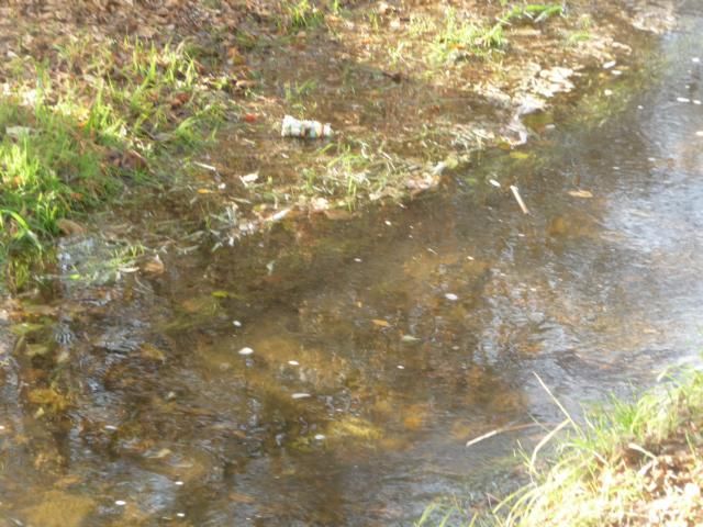 Fundbild der Gruppe Wahlpflichtkurs Umwelt 9