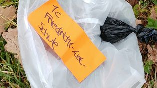 Fundbild der Gruppe FLS G9-3