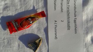 Fundbild der Gruppe Die Forscherkrokodile