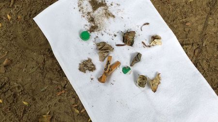 Fundbild der Gruppe The floor is plastik