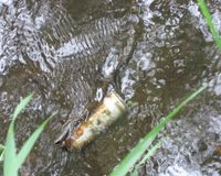 Fundbild der Gruppe Klasse 5a der Lernwerft - Club of Rome Schule, Kiel