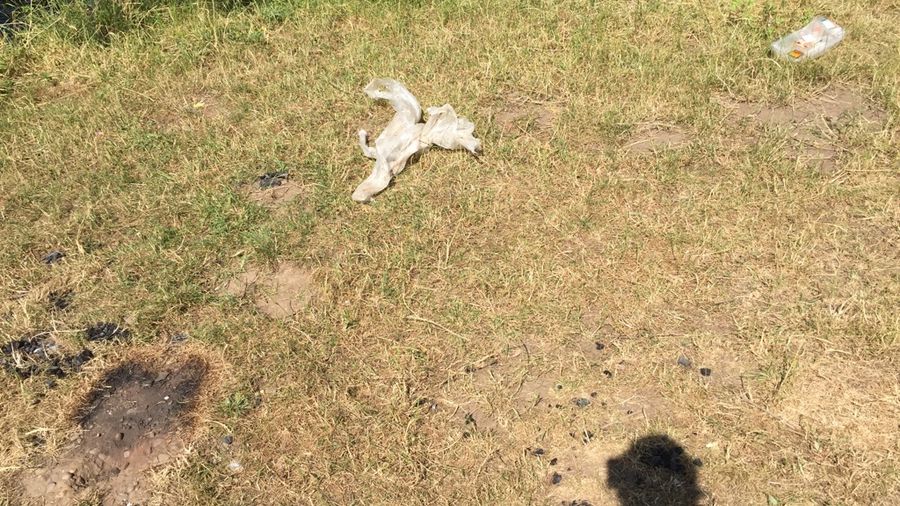 Fundbild der Gruppe BKSD DÜREN