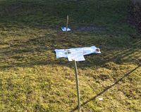 Fundbild der Gruppe Die Octonauten