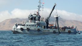 Sauerstoffmangel kann die Plankton-Produktion beeinflussen