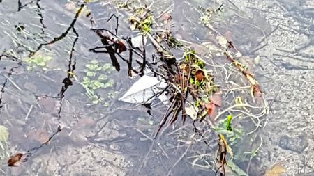 Fundbild der Gruppe PinkFluffyUnicorns9w