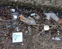 Fundbild der Gruppe BVS Rheinpiraten