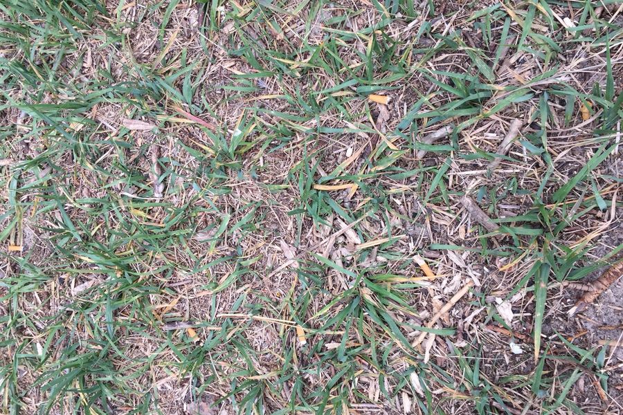 Fundbild der Gruppe Plastik Piraten 7F