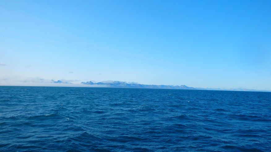 Foto vom Meer, dessen Viren einen starken Einfluss auf das Klima ausüben