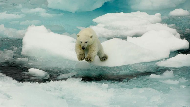 Fundbild der Gruppe Team JB