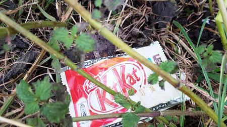 Fundbild der Gruppe PinkFluffyUnicorns9w